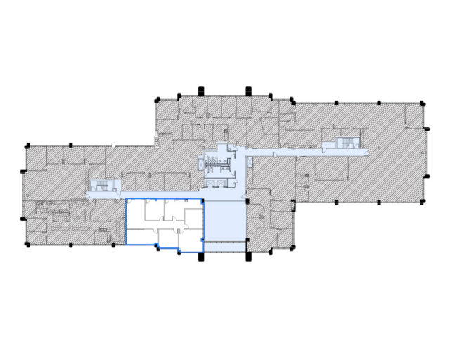 Suite 295